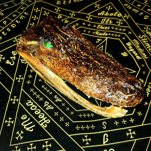 Extremely DEMONIC Pazuzu Charged Crocodile Head of Revenge & Protection ~ Destroy Enemies + Bullies, Unbreakable Demonic Protection