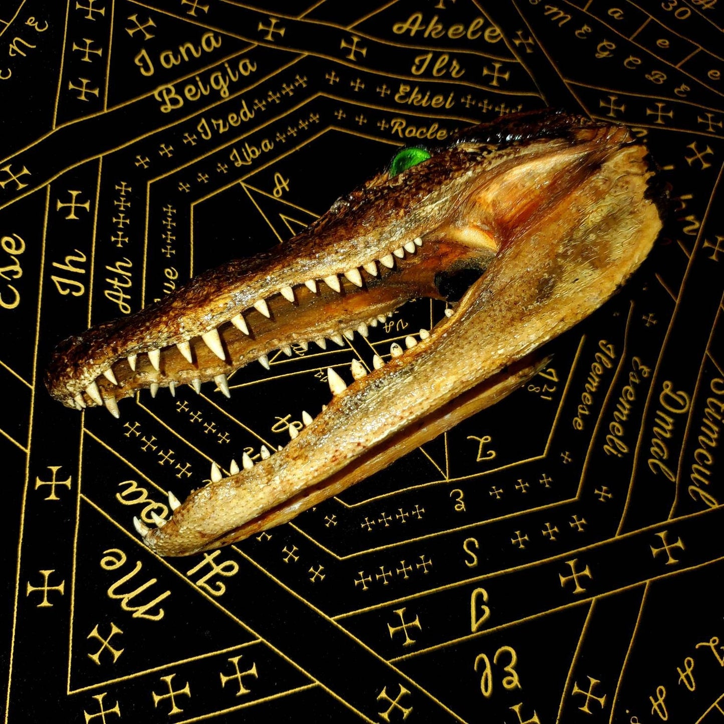 Extremely DEMONIC Pazuzu Charged Crocodile Head of Revenge & Protection ~ Destroy Enemies + Bullies, Unbreakable Demonic Protection