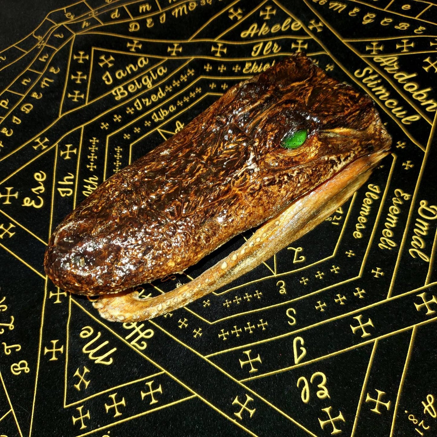 Extremely DEMONIC Pazuzu Charged Crocodile Head of Revenge & Protection ~ Destroy Enemies + Bullies, Unbreakable Demonic Protection
