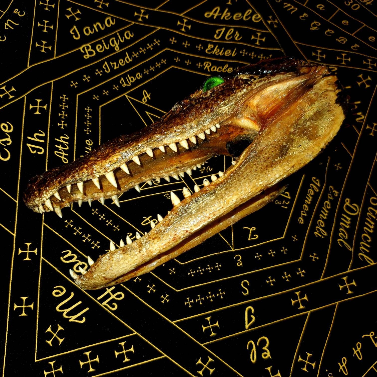 Extremely DEMONIC Pazuzu Charged Crocodile Head of Revenge & Protection ~ Destroy Enemies + Bullies, Unbreakable Demonic Protection