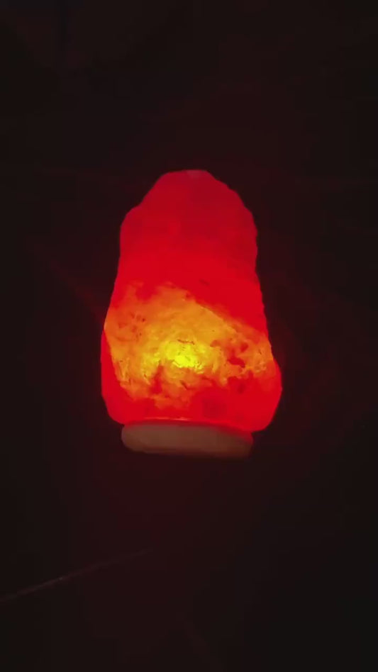 The Himalayan Charging Station Powerhouse Lamp ~ Super charge amulets + vessels, Repel bad energy, Cleansing protection charging tool